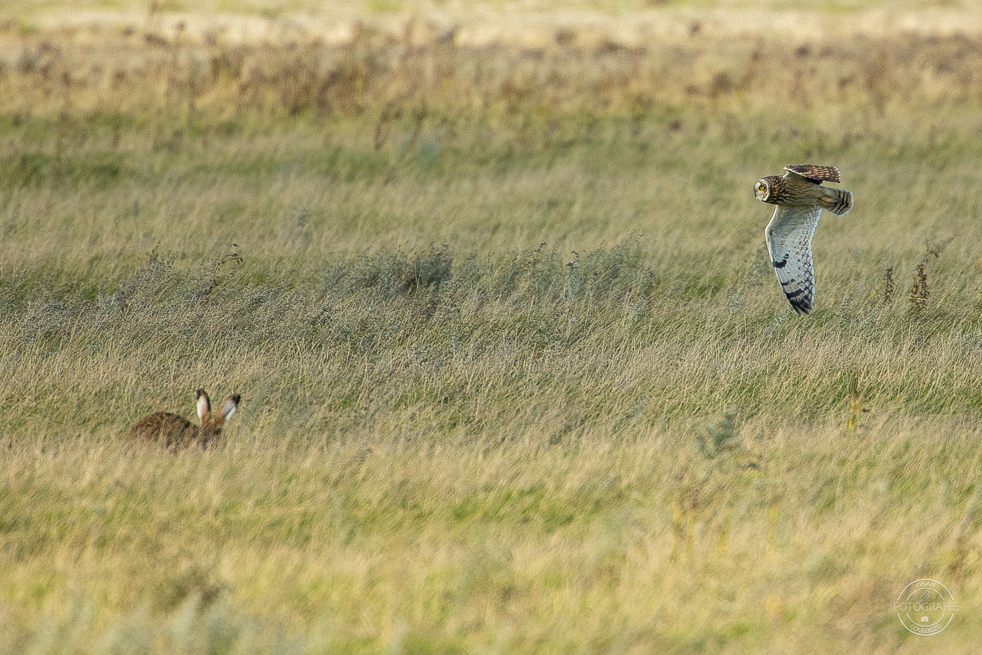 16 oktober 2022 162103 1R2A2263